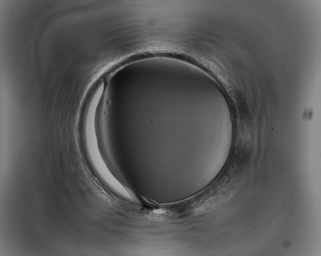 X0000098000391200804021036