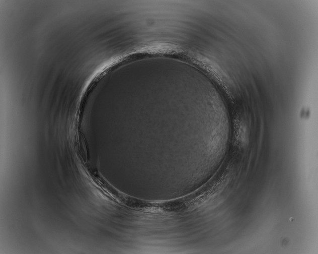 X0000098000392200804021036