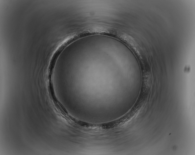 X0000098000395200804021036