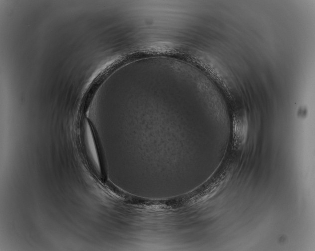 X0000098000396200804021036
