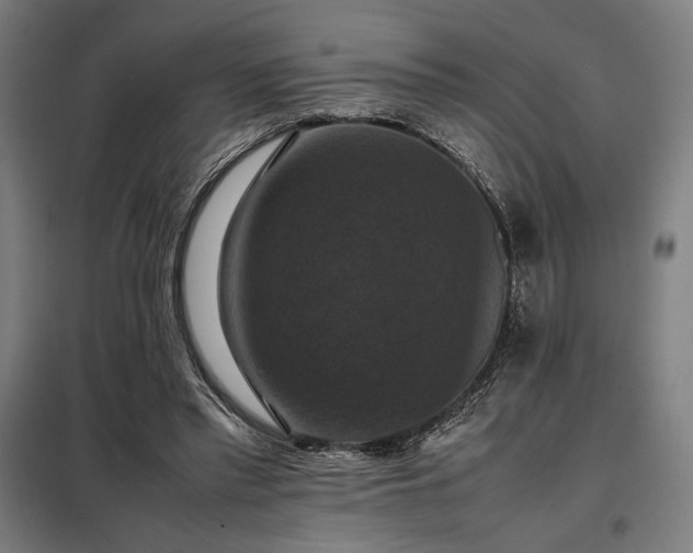 X0000098000397200804021036