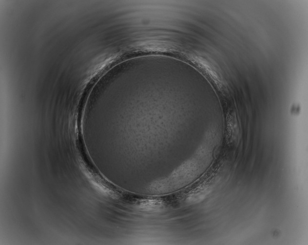 X0000098000398200804021036