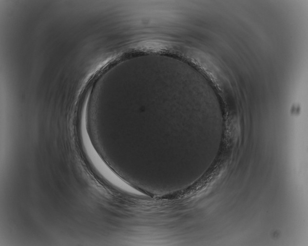 X0000098000399200804021036