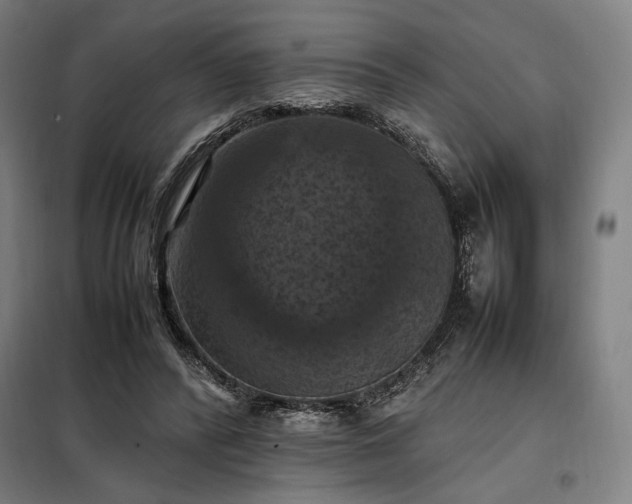 X0000098000400200804021036