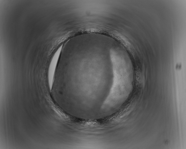 X0000098000401200804021036