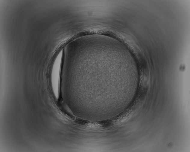 X0000098000403200804021036