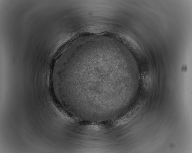 X0000098000404200804021036