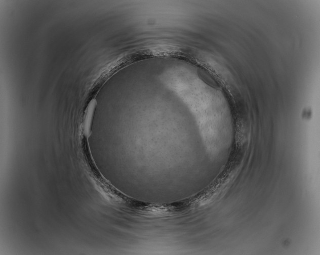 X0000098000405200804021036