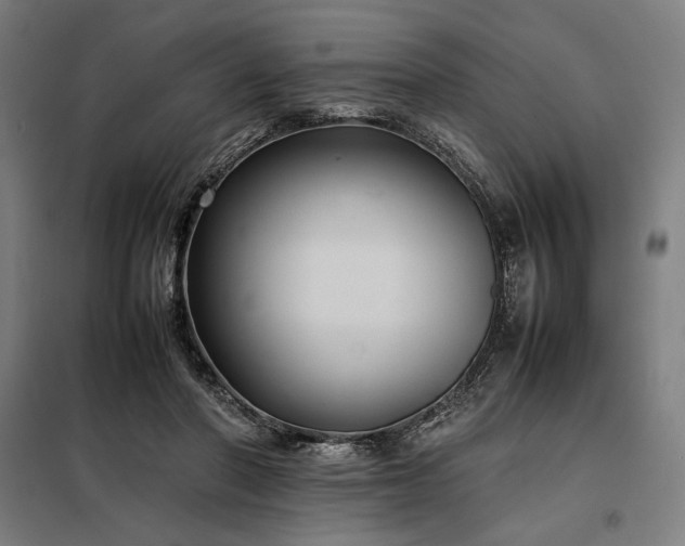 X0000098000406200804021036