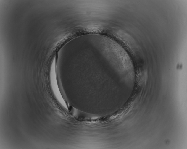 X0000098000407200804021036