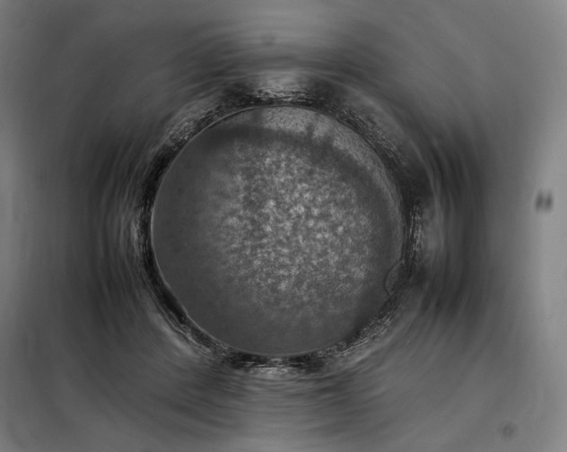 X0000098000408200804021036