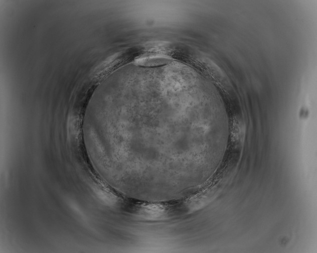 X0000098000409200804021036