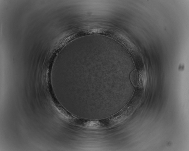 X0000098000410200804021036