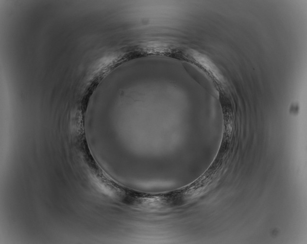 X0000098000411200804021036