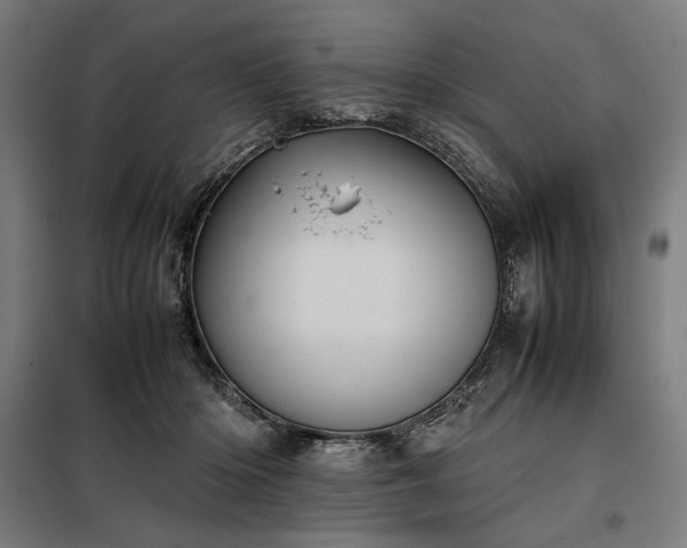 X0000098000414200804021036