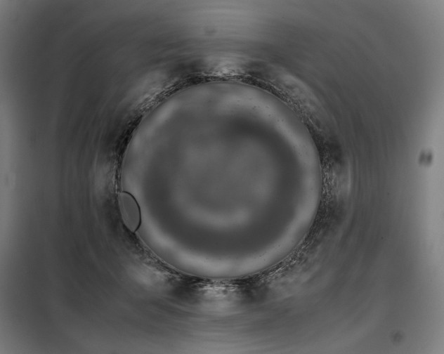 X0000098000415200804021036
