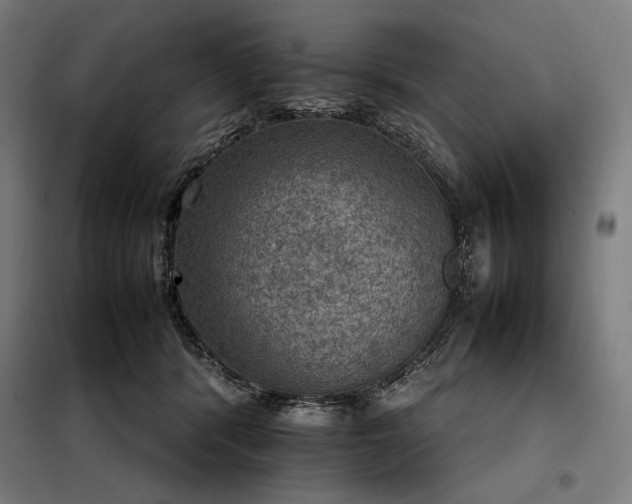 X0000098000416200804021036