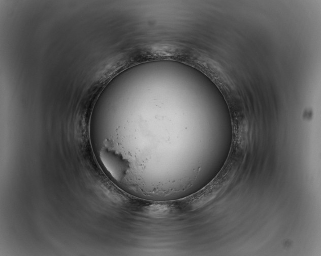 X0000098000418200804021036