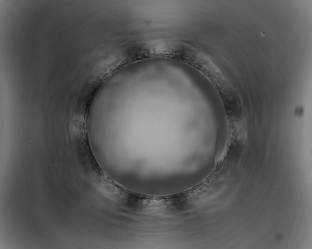 X0000098000419200804021036