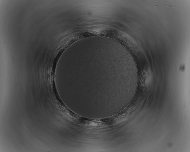 X0000098000420200804021036