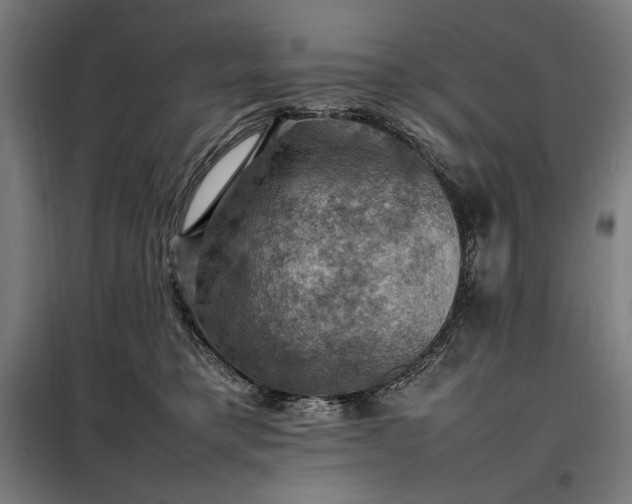 X0000098000421200804021036