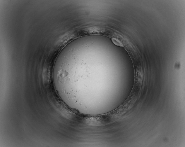 X0000098000422200804021036