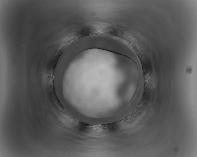 X0000098000423200804021036