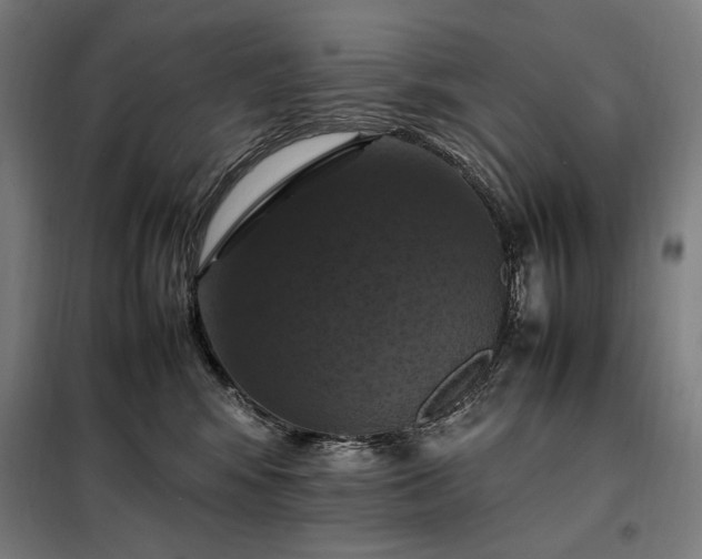 X0000098000424200804021036