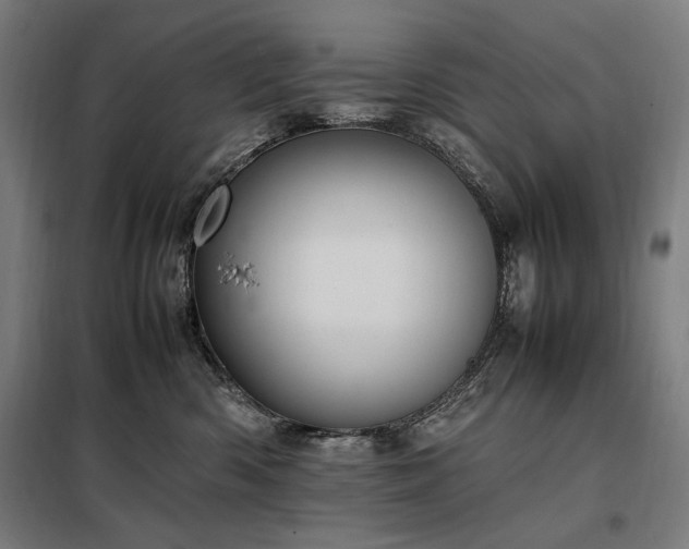 X0000098000426200804021036
