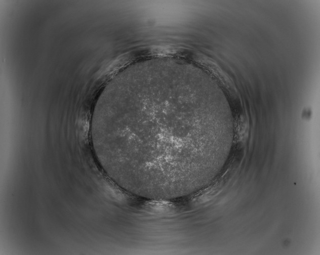 X0000098000427200804021036