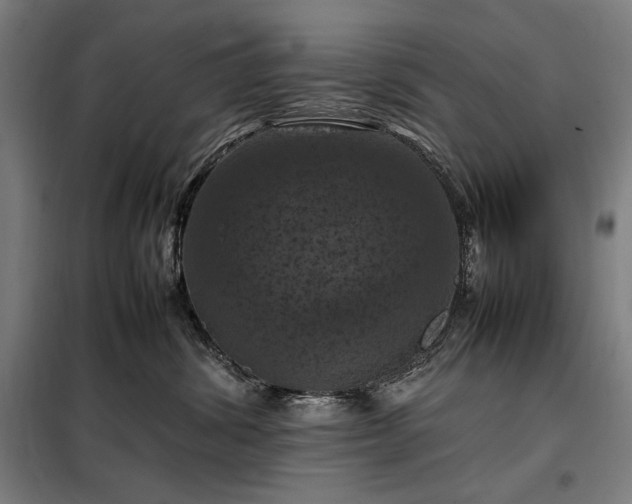 X0000098000428200804021036