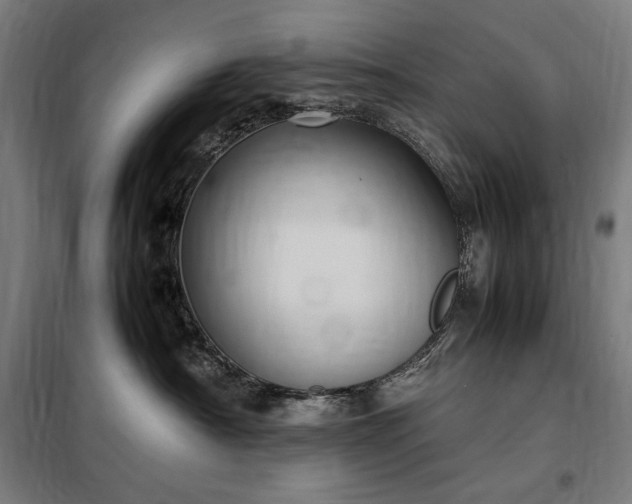 X0000098000430200804021036