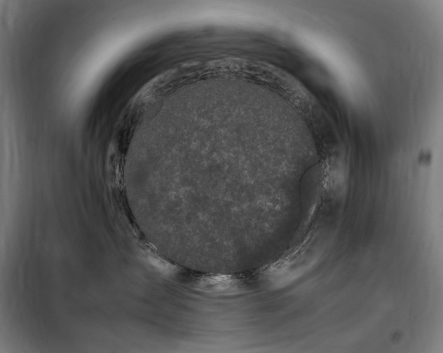 X0000098000431200804021036