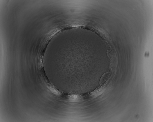 X0000098000432200804021036
