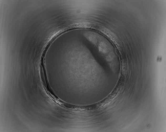 X0000098000434200804021035