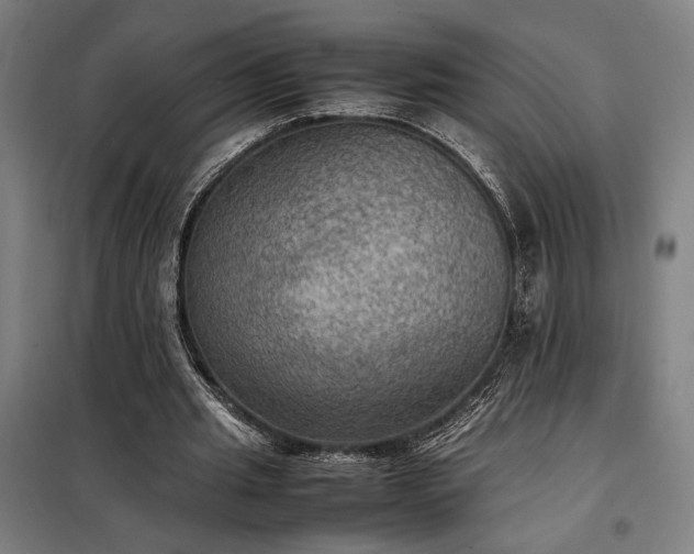 X0000098000437200804021035