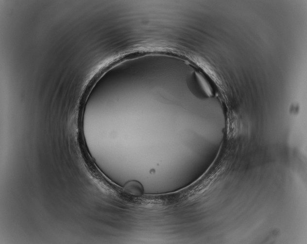 X0000098000438200804021035