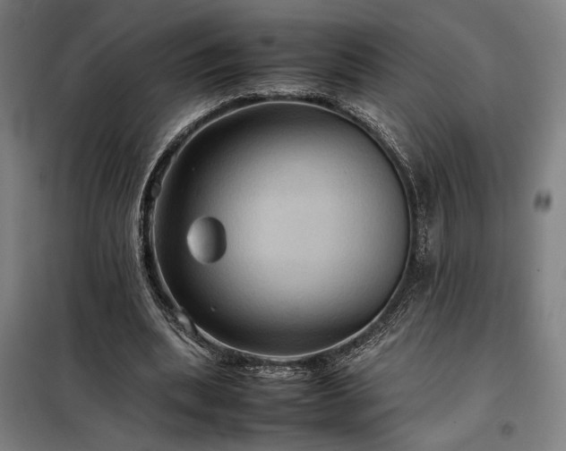 X0000098000439200804021035
