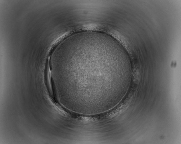 X0000098000442200804021035