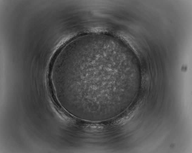 X0000098000443200804021035