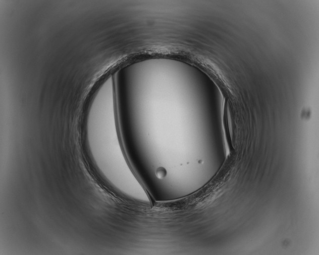 X0000098000444200804021035