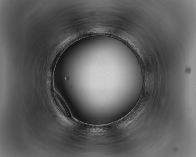 X0000098000445200804021035