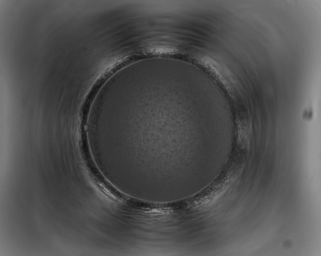 X0000098000447200804021035