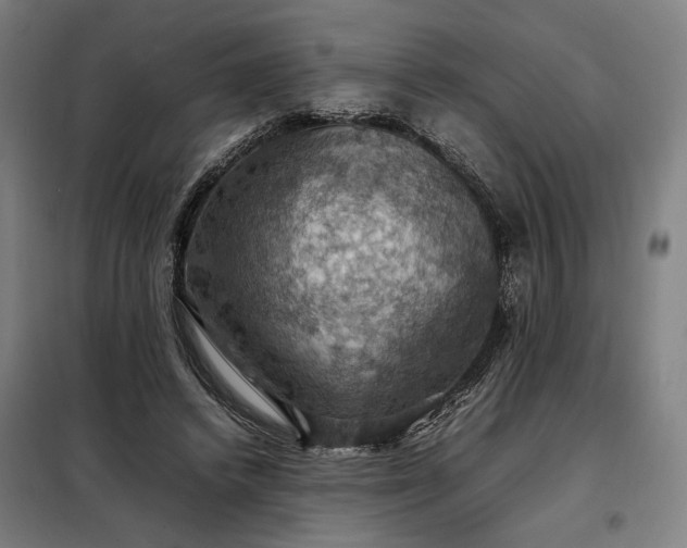 X0000098000448200804021035