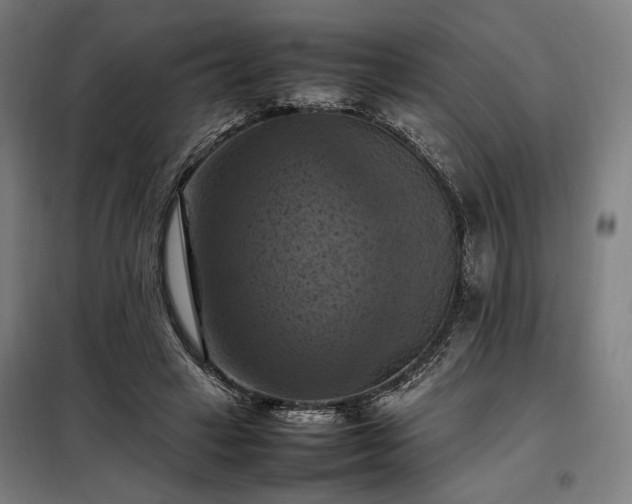 X0000098000449200804021035