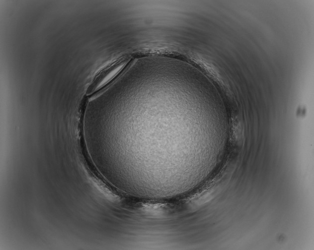 X0000098000450200804021035