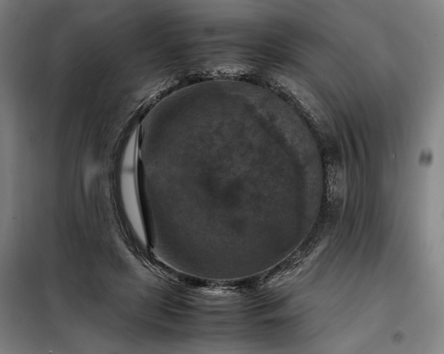 X0000098000451200804021035