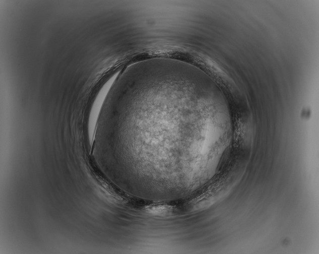 X0000098000452200804021035
