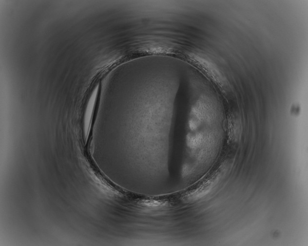 X0000098000453200804021035