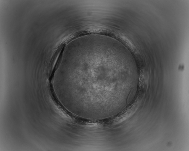 X0000098000454200804021035